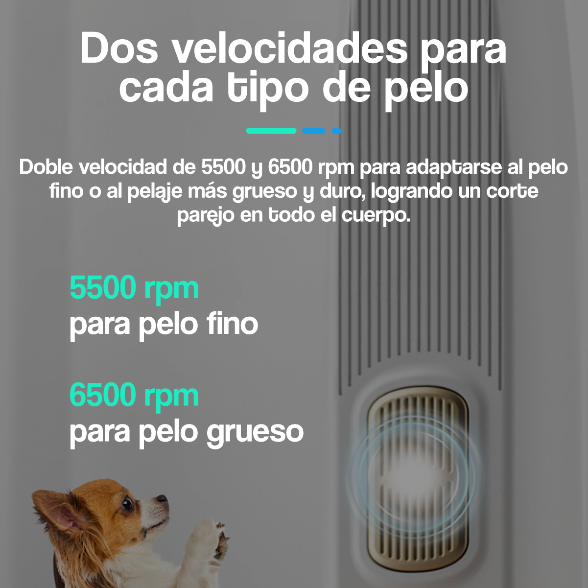 Kit 2 Máquinas Premium para Cortar Pelo de Mascotas